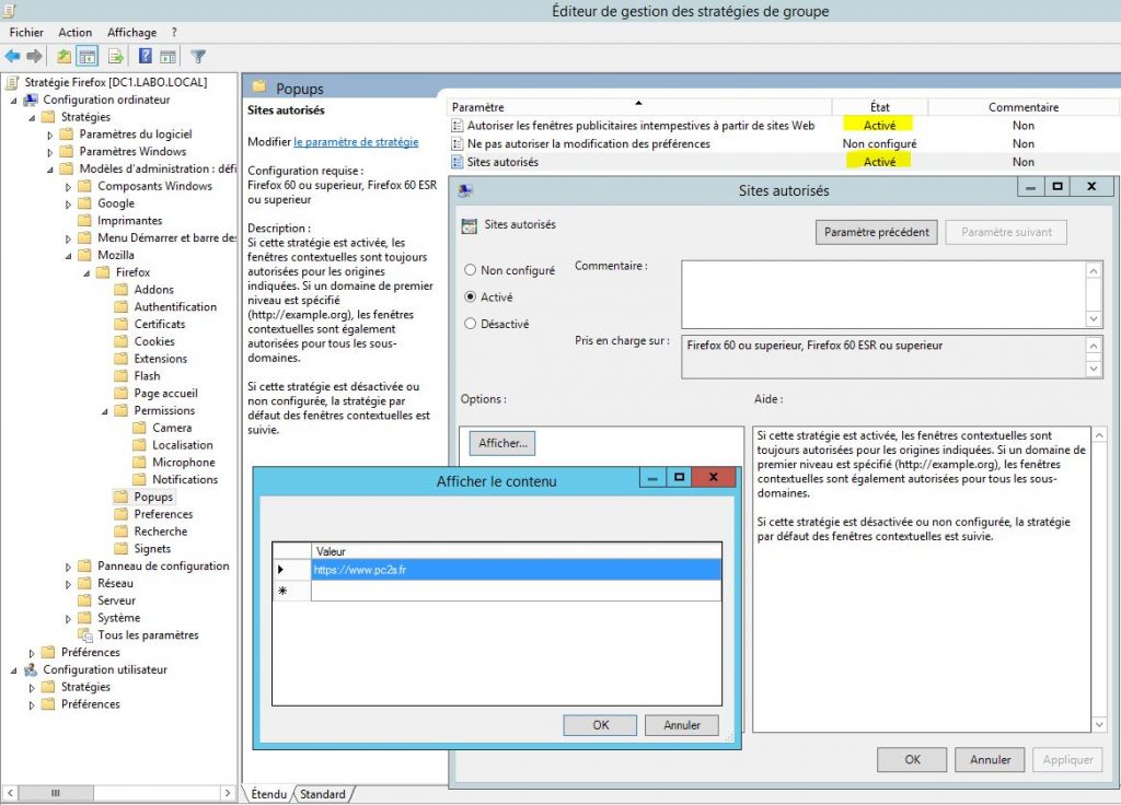 mozilla firefox esr gpo